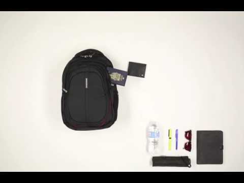 SWISS GEAR TRAVEL BACKPACK