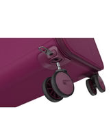 ROLLINK COLLAPSIBLE SUITCASE FUTO COLLECTION