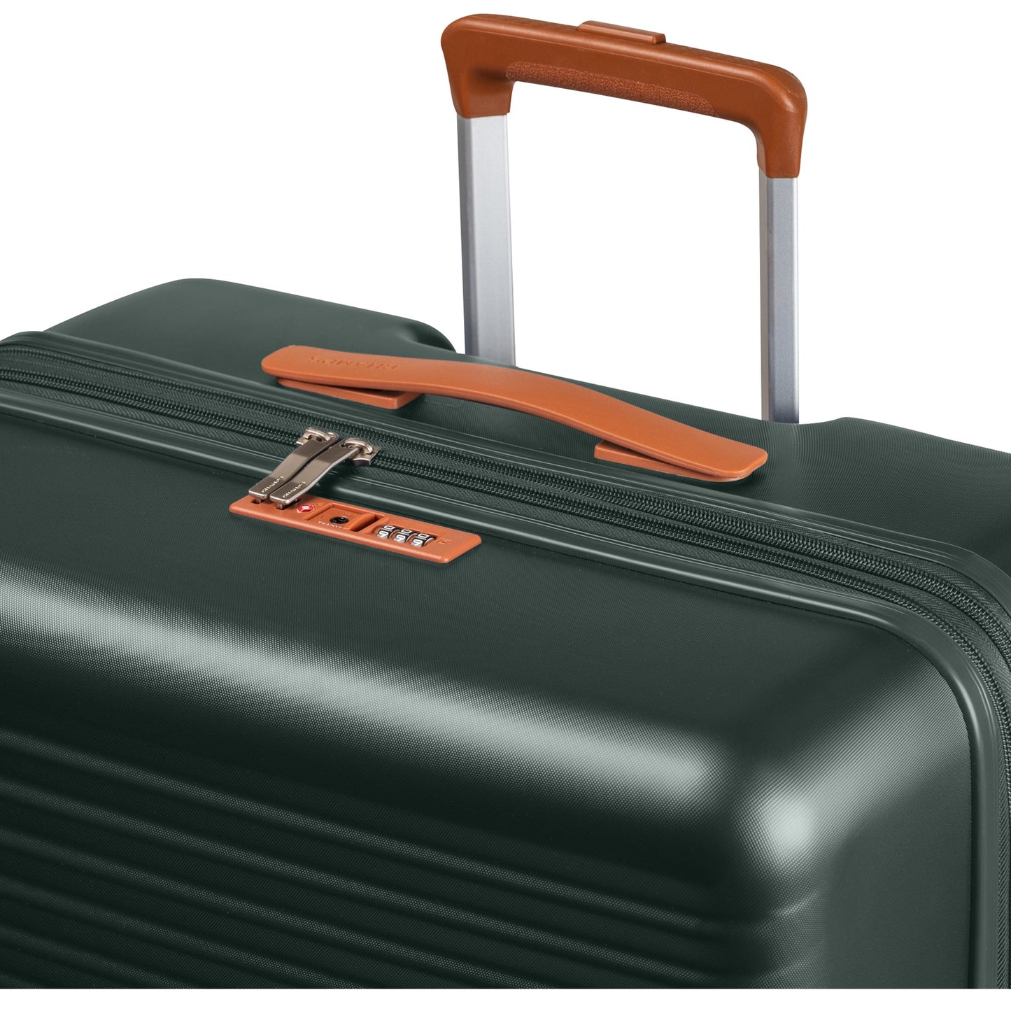 CHAMPS VINTAGE II LARGE